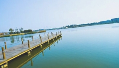 沙湖生态公园